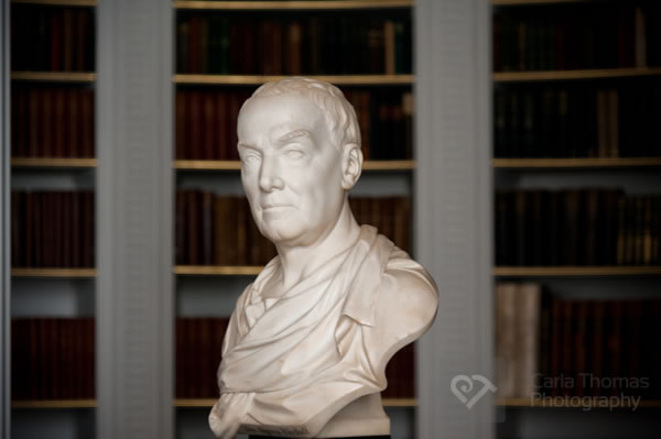 Bust in library