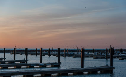 Landscapes: Chicago Sunrise photo