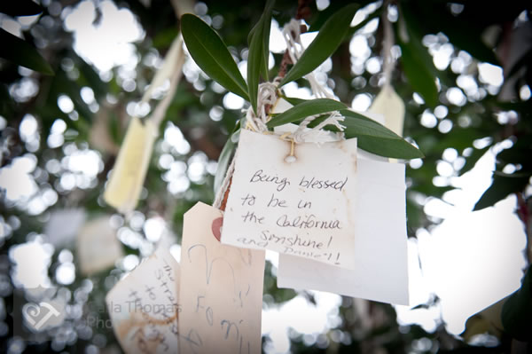 Grateful for the Californinan sun