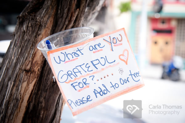 Message on Tree asking what are you grateful for