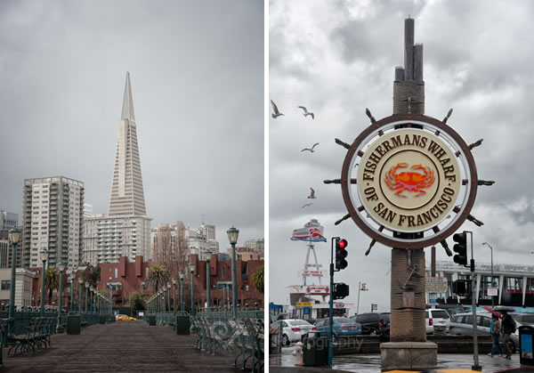 Fishermans Wharf sign and Transamerica building