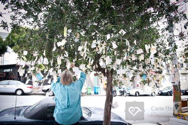 Woman tying her message of gratitude to the tree