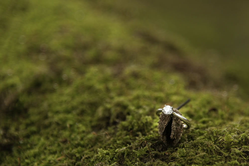 Engagement ring on a log