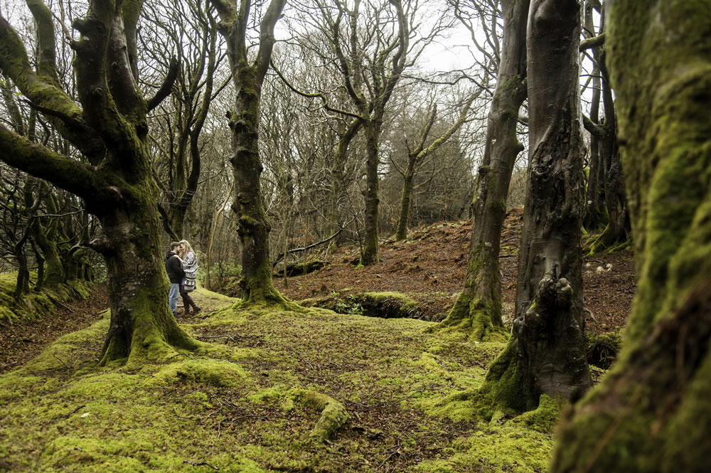 Couple together in the forest